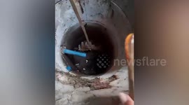 Kitten stuck in bottom of well rescued