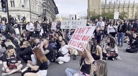 “SAVE OUR BULLYS!” Hundreds of XL Bully owners mount angry protest against plan to ban their pets