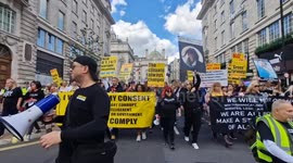 Mass non-compliance Freedom Rally ends with tennis balls being thrown into Downing Street