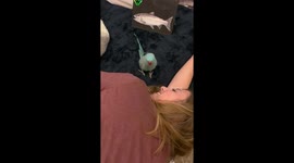 Bird Says Come On