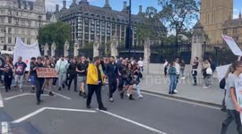UK: Protest Over PM Sunak’s American Bully XL Dogs Proposed Ban
