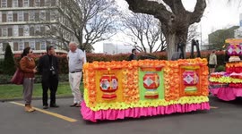 Hastings Blossom Parade attracts tens of thousands in New Zealand