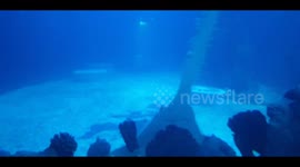 Human fish face part 2