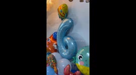 French bulldog unfazed as owner dresses him up as octopus for 6th birthday