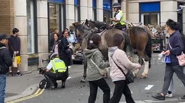 Horseback police stop thief stealing steak from Tesco Express Covent Garden