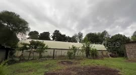 Kenya-China agricultural cooperation aiding hunger fight, rural transformation