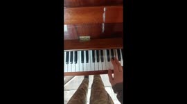 Ukrainian soldier's musical respite amidst conflict