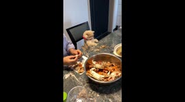 Kitty shows off good table manners while eating with family
