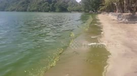 Sea turns green amid algae bloom on Thai island