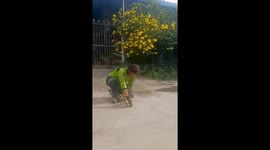 Female snake catcher tackles cobras in this compilation of videos