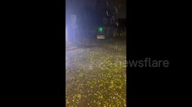 US: Baseball-Sized Hail Batters Central Texas, Damage Reported