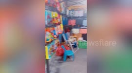 Pet Pomeranian dog sits in folding chair at men's underwear shop