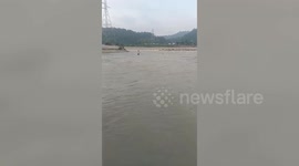 Dog rescued after being washed away by strong river current in northern India