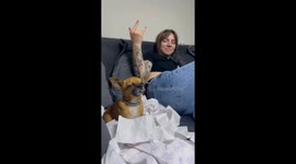 Alexey Is Very Tired From His Road Trip