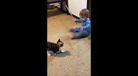 New Cat And New Human Play Together