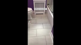 This is how you complete a runner down bathroom and make it beautiful!!!