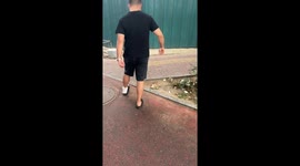 Chinese Dog Walks with a Limp in Imitation of a Man Whose Foot Gets Hurt