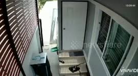 Little girl opens back door to find huge cobra slithering over steps