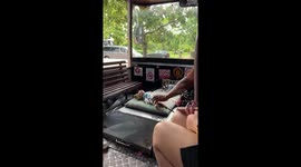 Sleepy pet kitten naps on a cushion at the front of bus