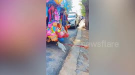 Pet dog refuses to leave park with balls hanging on vendor's cart