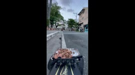 Gadget fanatic uses remote control car to feed hungry stray dogs afraid of humans