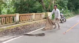 Forest officials rescue 10-feet long python after it enters house in northern India