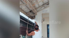 Resident calmly catches baby python coiled around porch ceiling