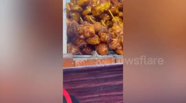 Hungry lizard tries to lick grilled chicken from behind glass shelf