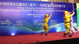 Tanzania welcomes more Chinese investors to support industrialization drive