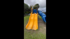 Ducks Enjoy an Afternoon at the Playground