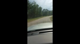 Scaring Dad Right off His Lawnmower