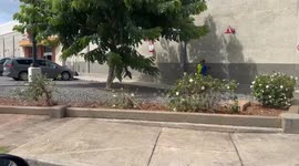 Homeless Situation in Hawaii | USA homelessness out of control | People living on the streets next to shopping area | prices in Hawaii so high more and more people homeless | prices in Hawaii surge and more people homeless every year