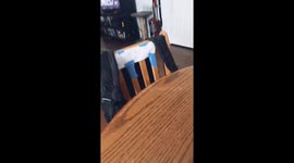 Cat Gets Called Out By Sign