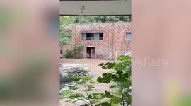 Terrified zookeeper flees from angry hippo charging at him in Chinese zoo