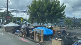 Tents line streets as homelessness surges in Hawaii