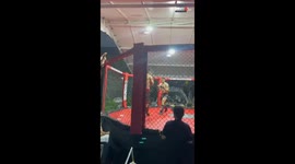 Skilled boxer knocks the opponent out with only a single punch *Epic Video*