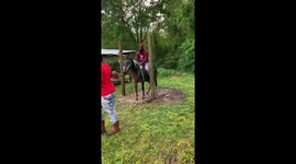 Man trying to ride a horse falls from its bake repeatedly *Hilarious Fail*