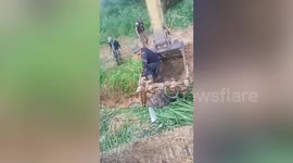 Rescuers use backhoe to winch stranded buffalo from ditch in Thailand