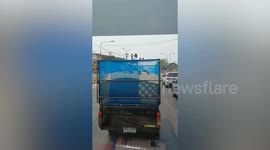 Wild pigeons flock onto back of pickup truck to feast on grain crops