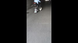 Dozey dog licks road while riding motorcycle in China