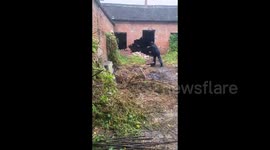 Elderly Man Executes Blast on Old House with a Single Brick in Henan, China