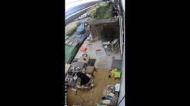 Fold-up table collapses as woman eats dinner with family