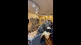 Odesa adventure: sharing a banana with a curious monkey!