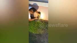 Pet owner smashes wall of home to free dog