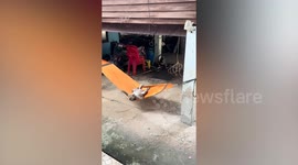 Monkey sprawls on back swaying on family's hammock