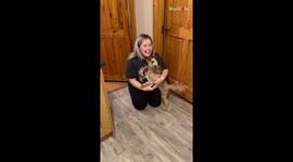 Adorable doggo overflows with excitement while reuniting with owner after 7 long months!