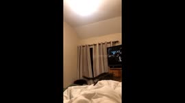 Cat Fails Leaping At Air