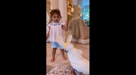 Cockatoo Is a Dance Coach