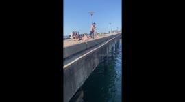 Man Fumbles Dive and Slips Into the Drink