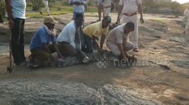 Crocodile rescued after being spotted beside power station in central India